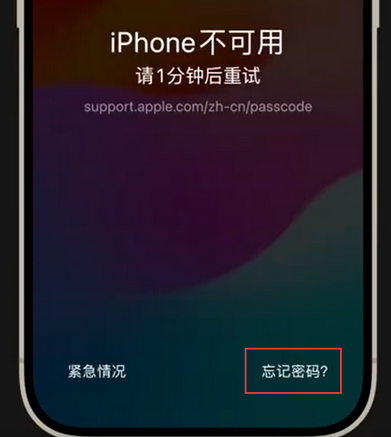 南通苹果手机密码维修分享iPhone忘记了刚设置的密码 